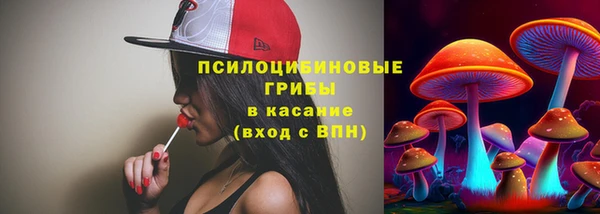 крисы Покачи