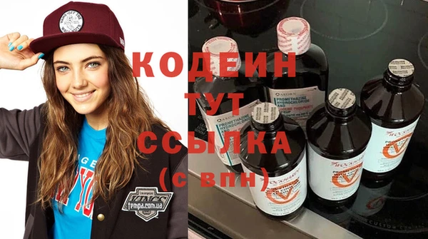 крисы Покачи