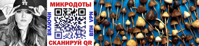 Псилоцибиновые грибы Cubensis  Чебаркуль 