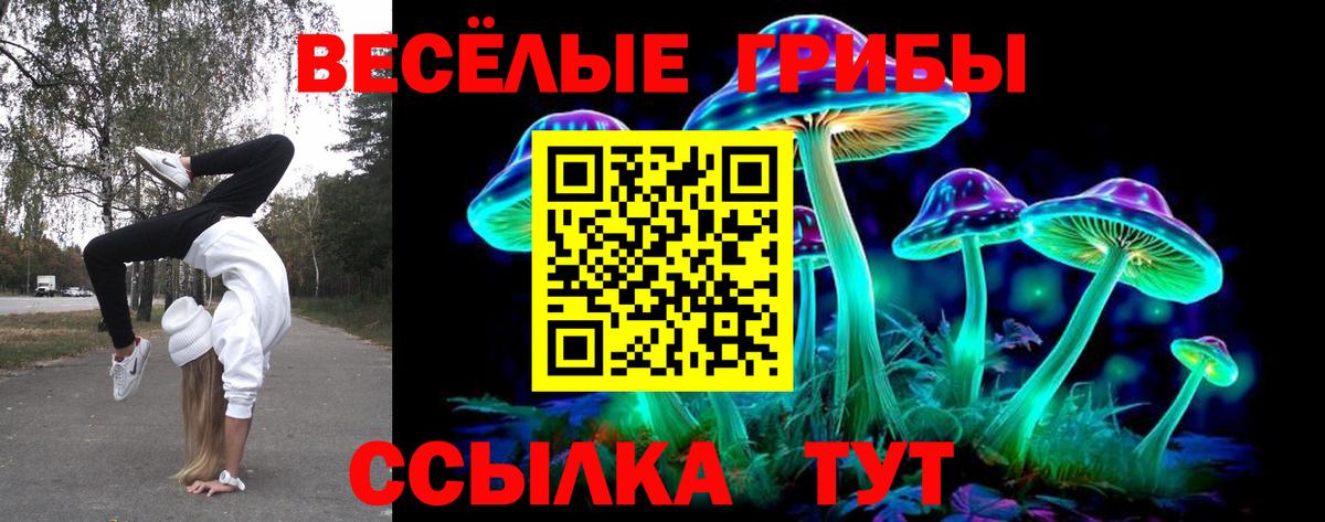Псилоцибиновые грибы Magic Shrooms  Вход с VPN  Чебаркуль  магазин    Галлюциногенные грибы ЛСД 